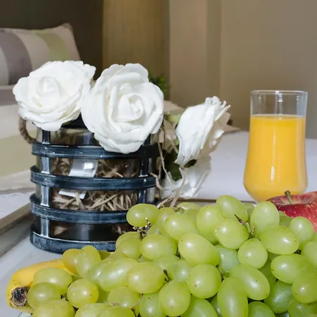 Haniotitours Lägenhetshotell 3*